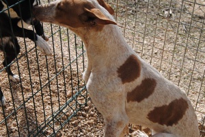 tila09